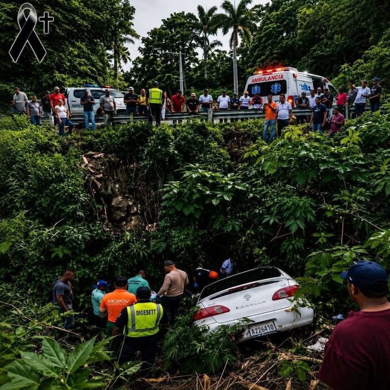 Un vehículo terminó fuera de la carretera y movilizó a los equipos de emergencia: las imágenes generaron preocupación